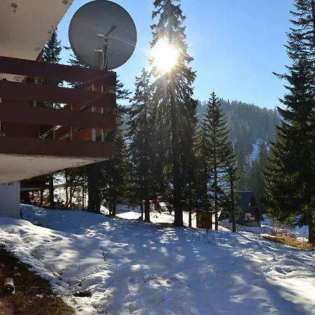 Kosuta B3 * Jahorina